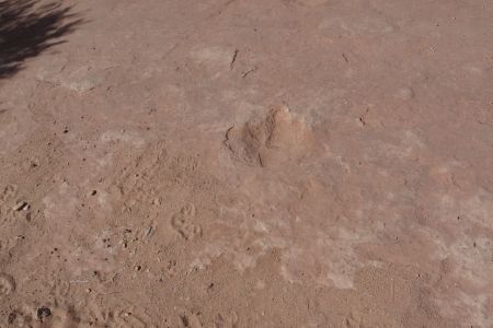 dh231012-101458.jpg