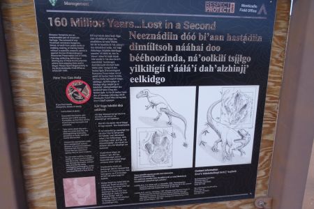 dh231012-103200.jpg